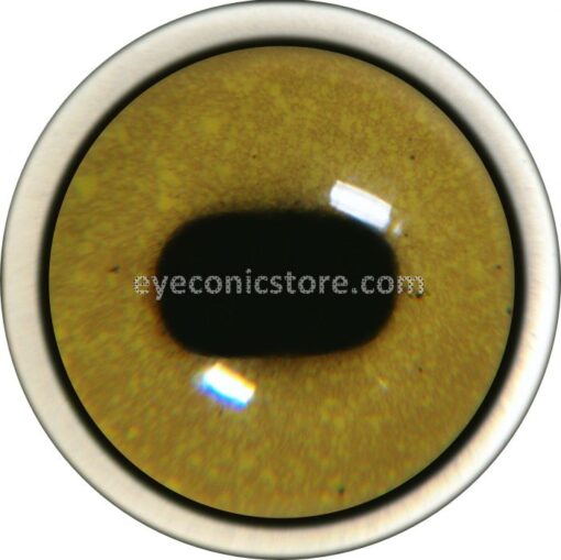 Moongose Acrylic Eye